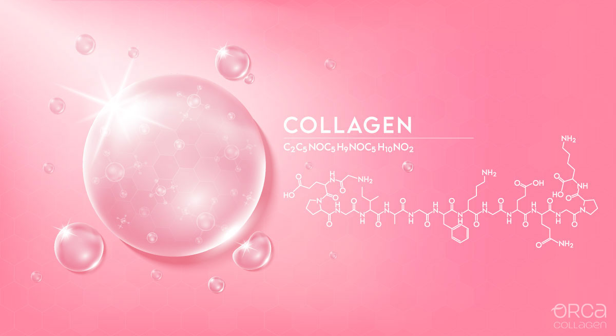 Molekula kolagenu